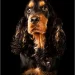 Ragper