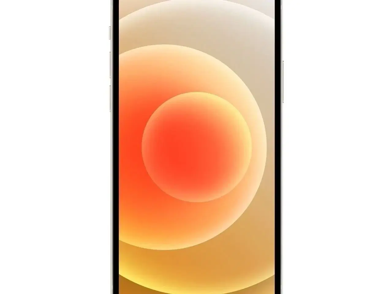 Billede 1 - Apple iPhone 12 Mini 256GB (Hvid) - Grade B