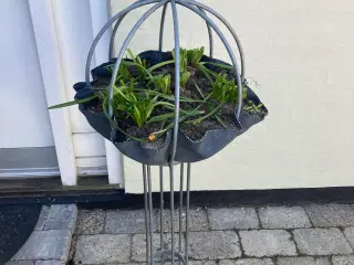 Plante opsats 
