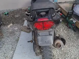 DR. BIG SCOOTER 