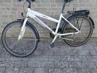 Pigecykel
