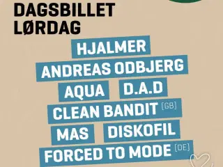 Skive festival dagsbillet lørdag 